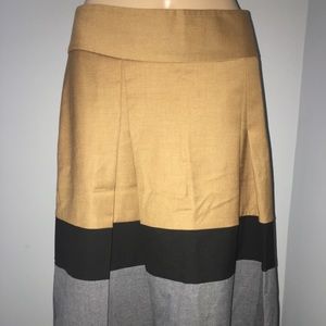 The limited collection skirt size 2